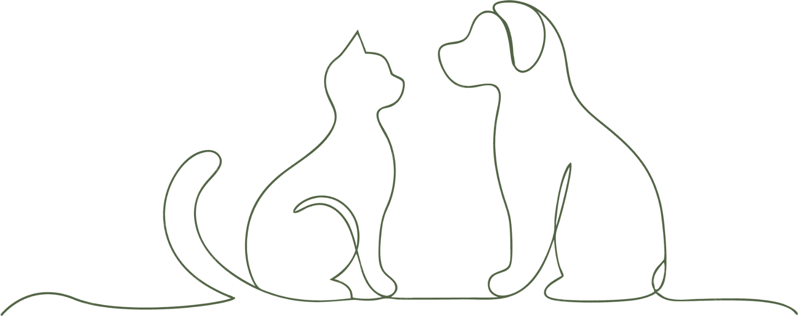 Um gato e um cachorro sentados lado a lado, desenhados com um traço contínuo